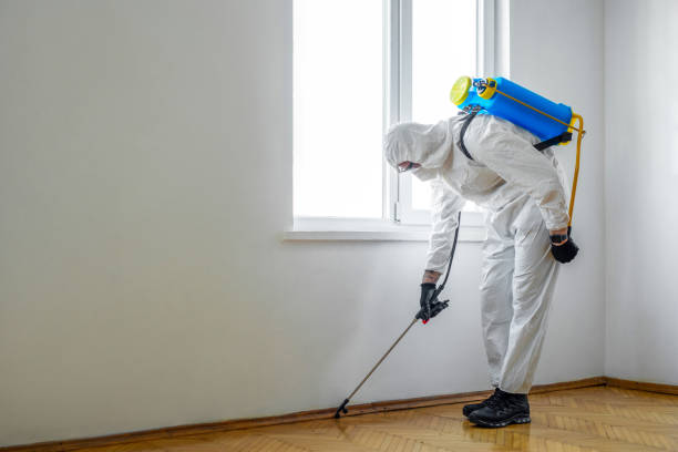Best Bed Bug Extermination  in Summerville, GA