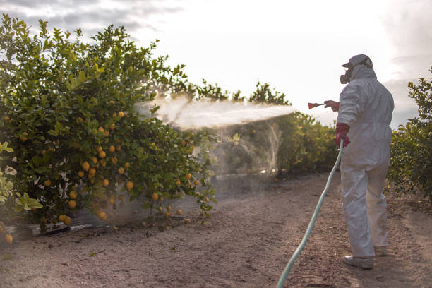 Reliable Summerville, GA Pest Control Solutions