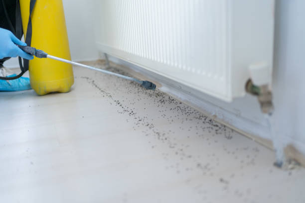 Best Cockroach Control Services  in Summerville, GA