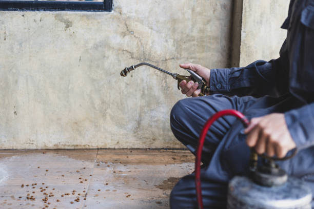 Best Rat Extermination Near Me  in Summerville, GA