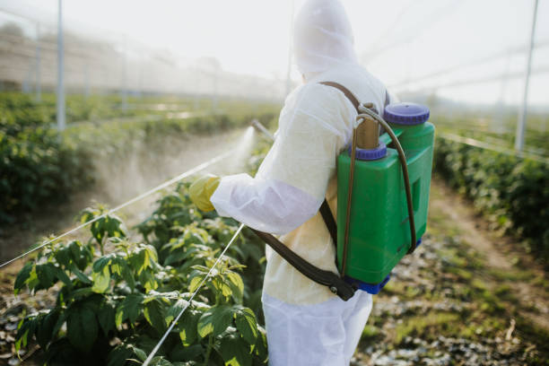 Wildlife Control Services in Summerville, GA